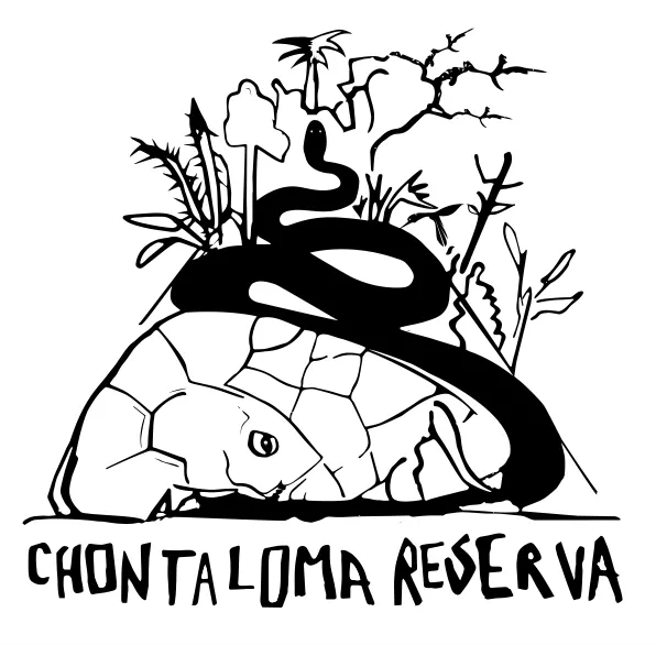 cropped-Logo-chontaloma.png